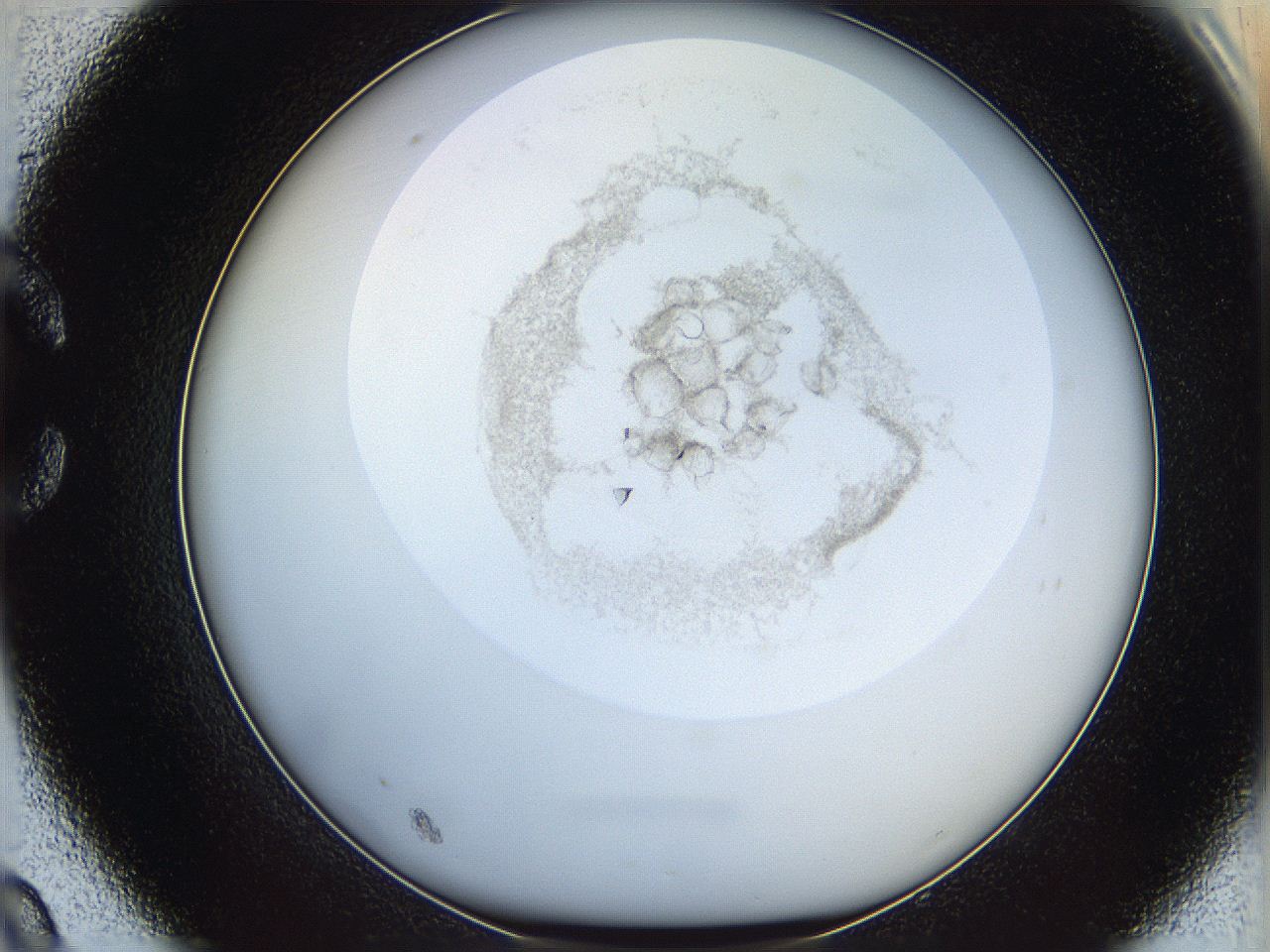 06i4_C9_ImagerDefaults_3.jpg