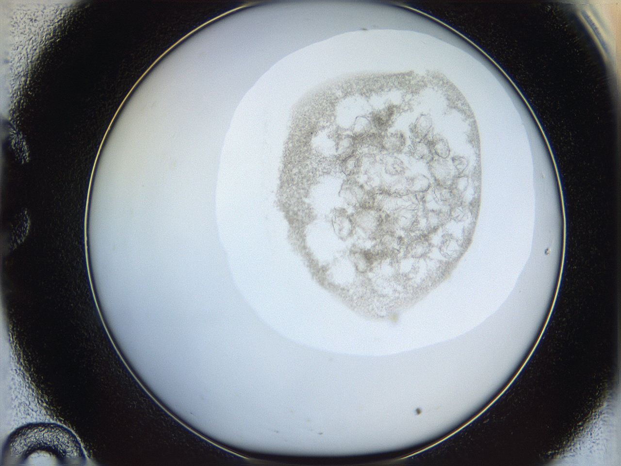 06i4_C10_ImagerDefaults_3.jpg