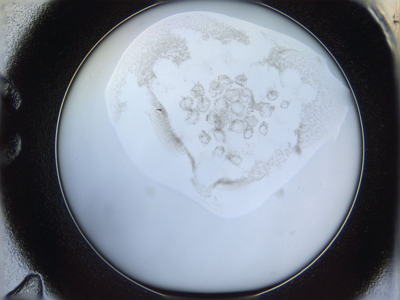 06i4_C11_ImagerDefaults_3.jpg