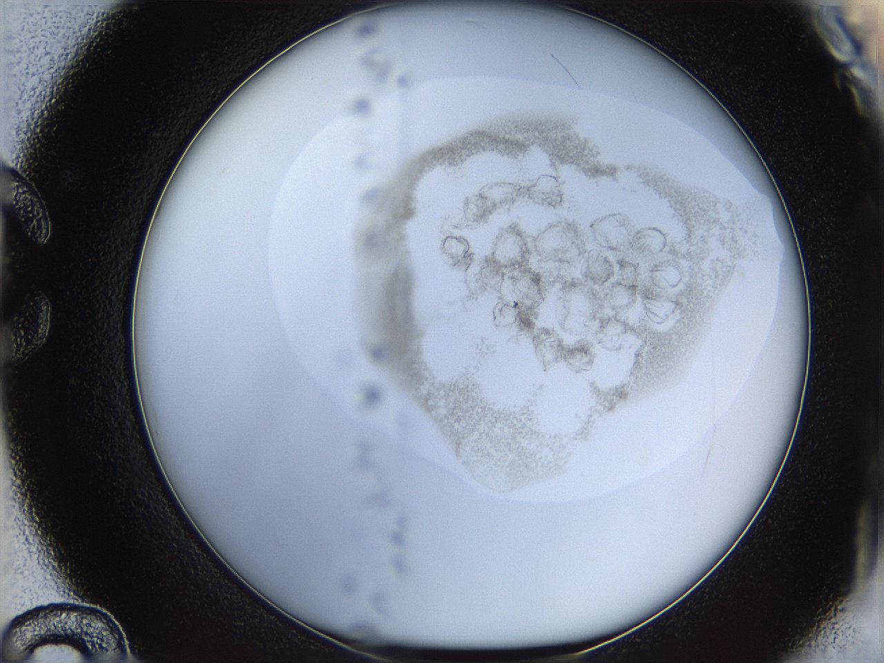06i4_C12_ImagerDefaults_3.jpg
