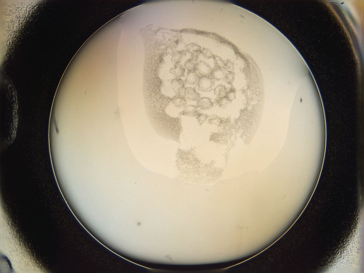06i4_D2_ImagerDefaults_3.jpg