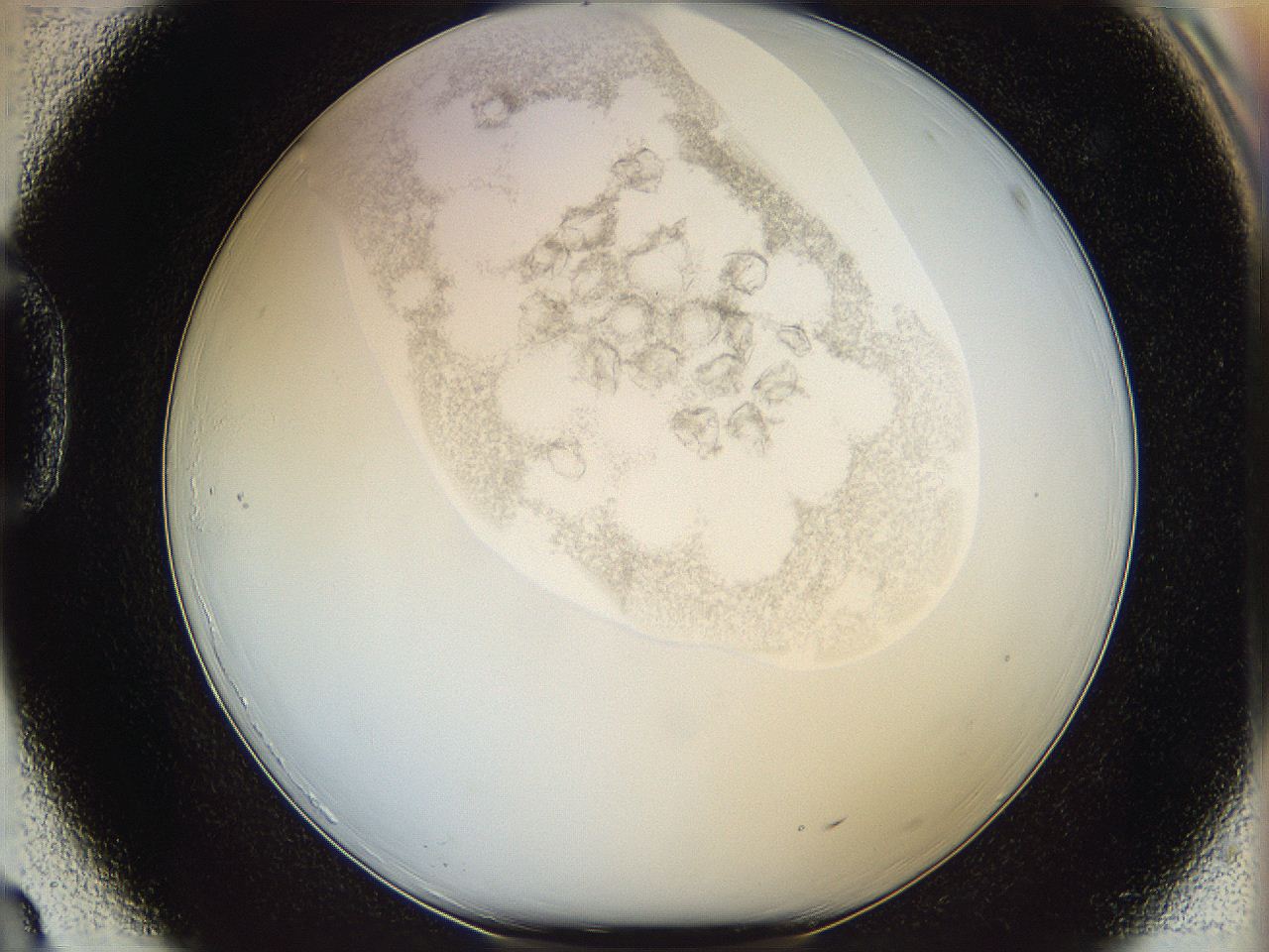 06i4_D3_ImagerDefaults_3.jpg