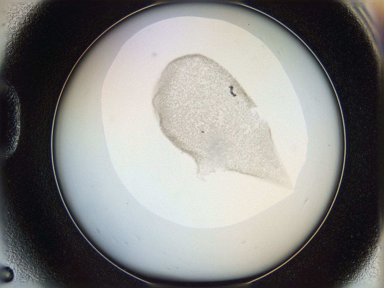 06i4_D5_ImagerDefaults_3.jpg