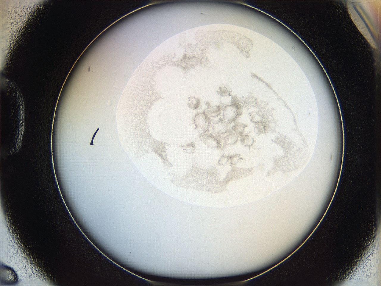 06i4_D6_ImagerDefaults_3.jpg