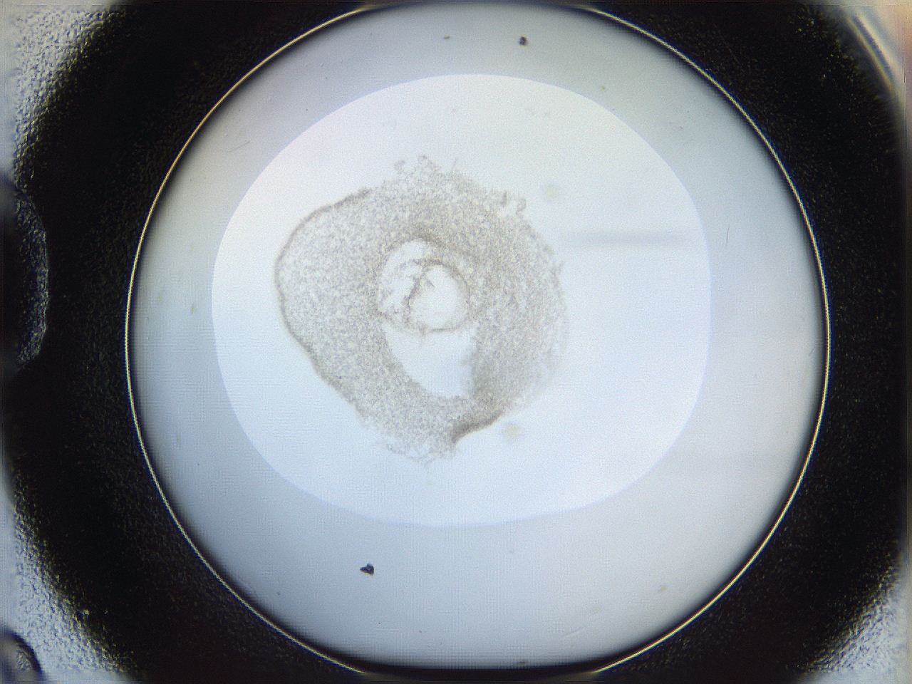 06i4_D9_ImagerDefaults_3.jpg