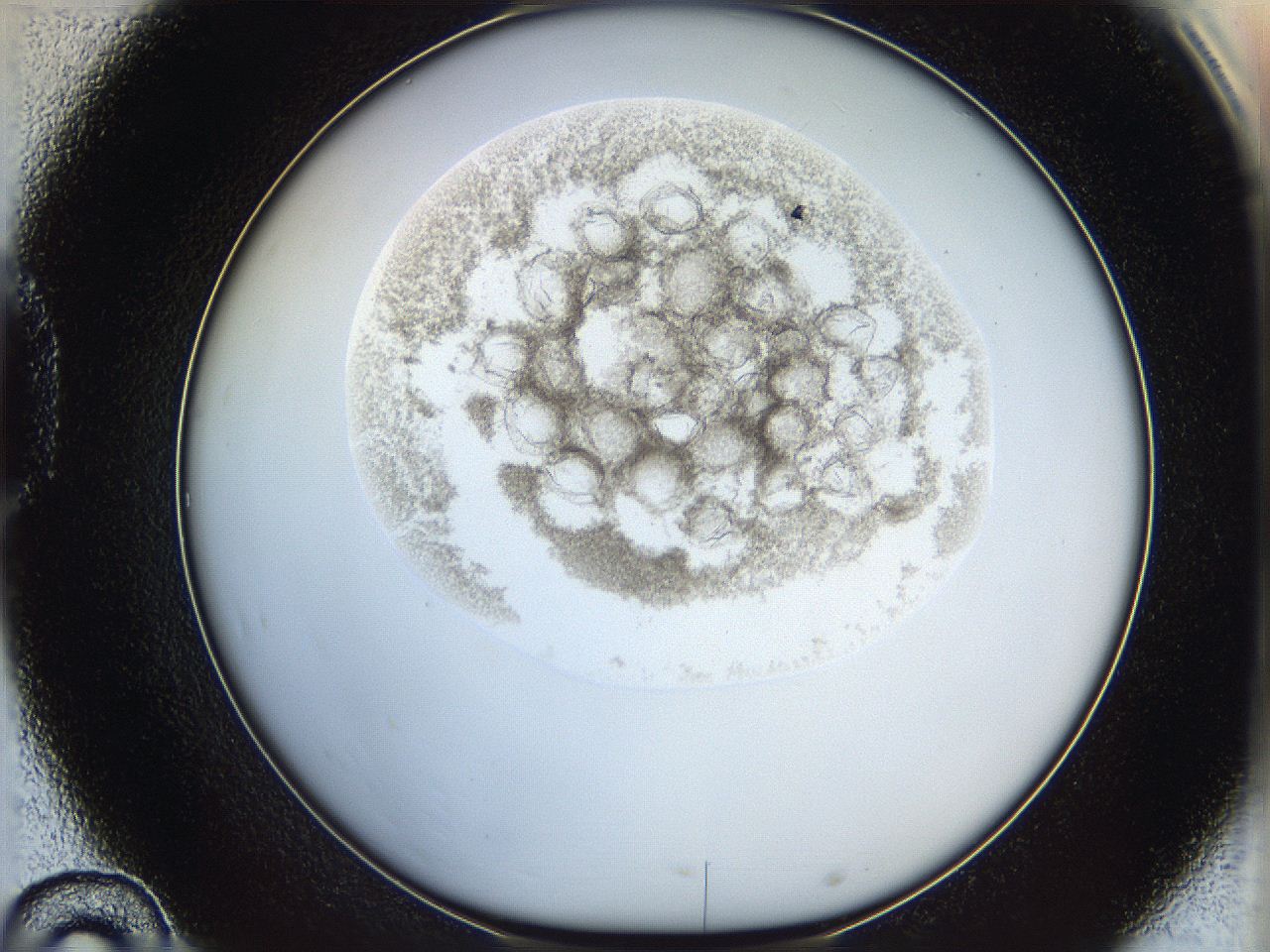 06i4_D10_ImagerDefaults_3.jpg