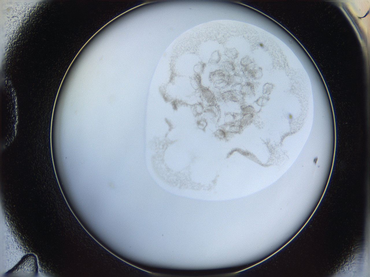 06i4_D11_ImagerDefaults_3.jpg