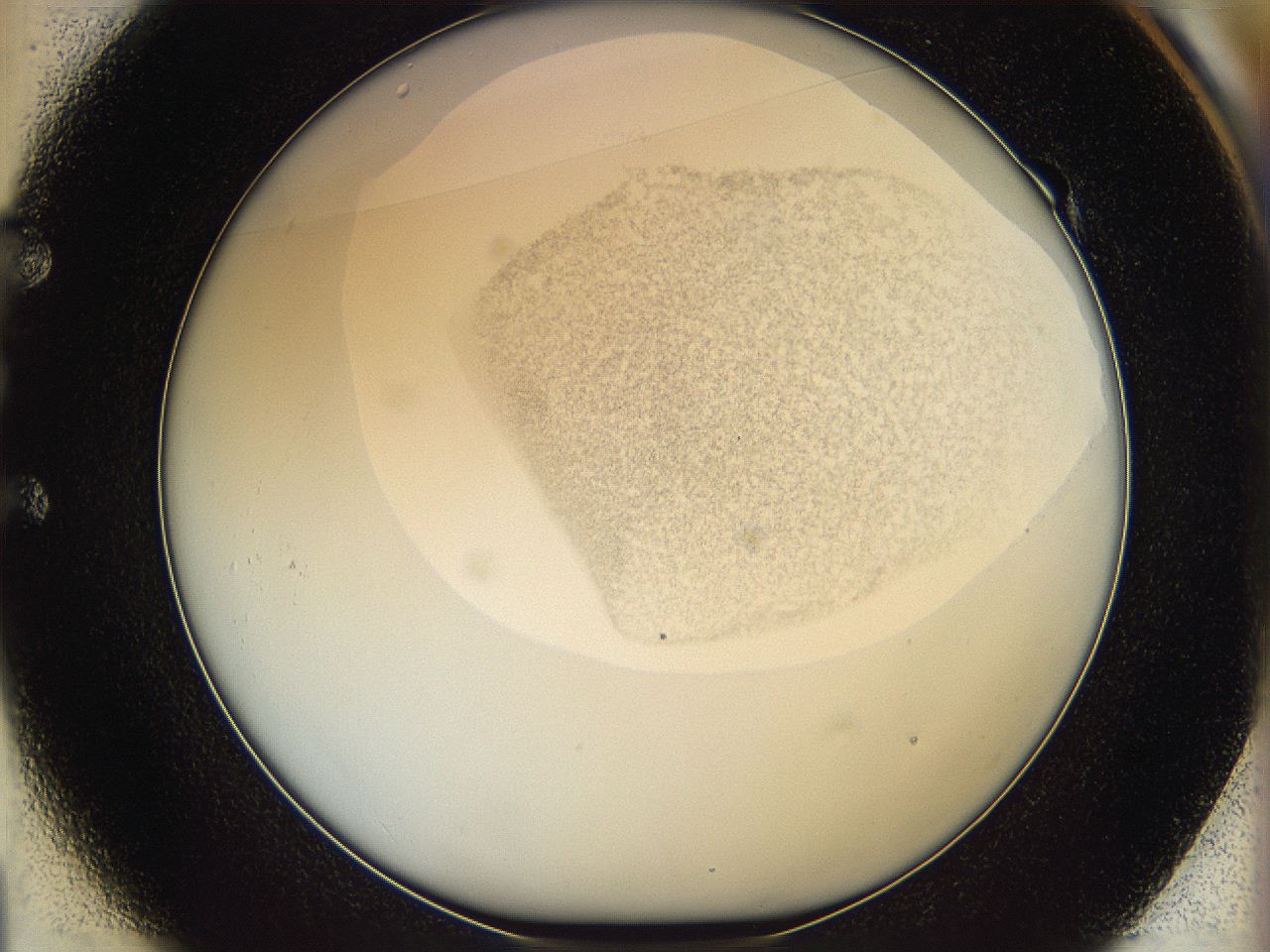 06i4_E1_ImagerDefaults_3.jpg