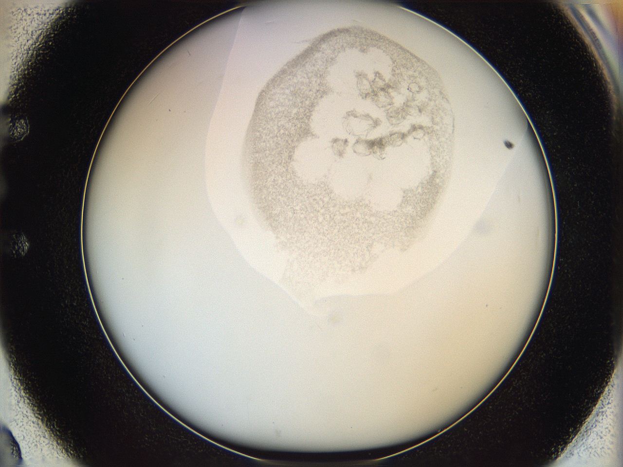 06i4_E2_ImagerDefaults_3.jpg