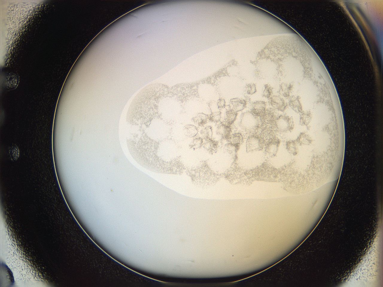 06i4_E3_ImagerDefaults_3.jpg