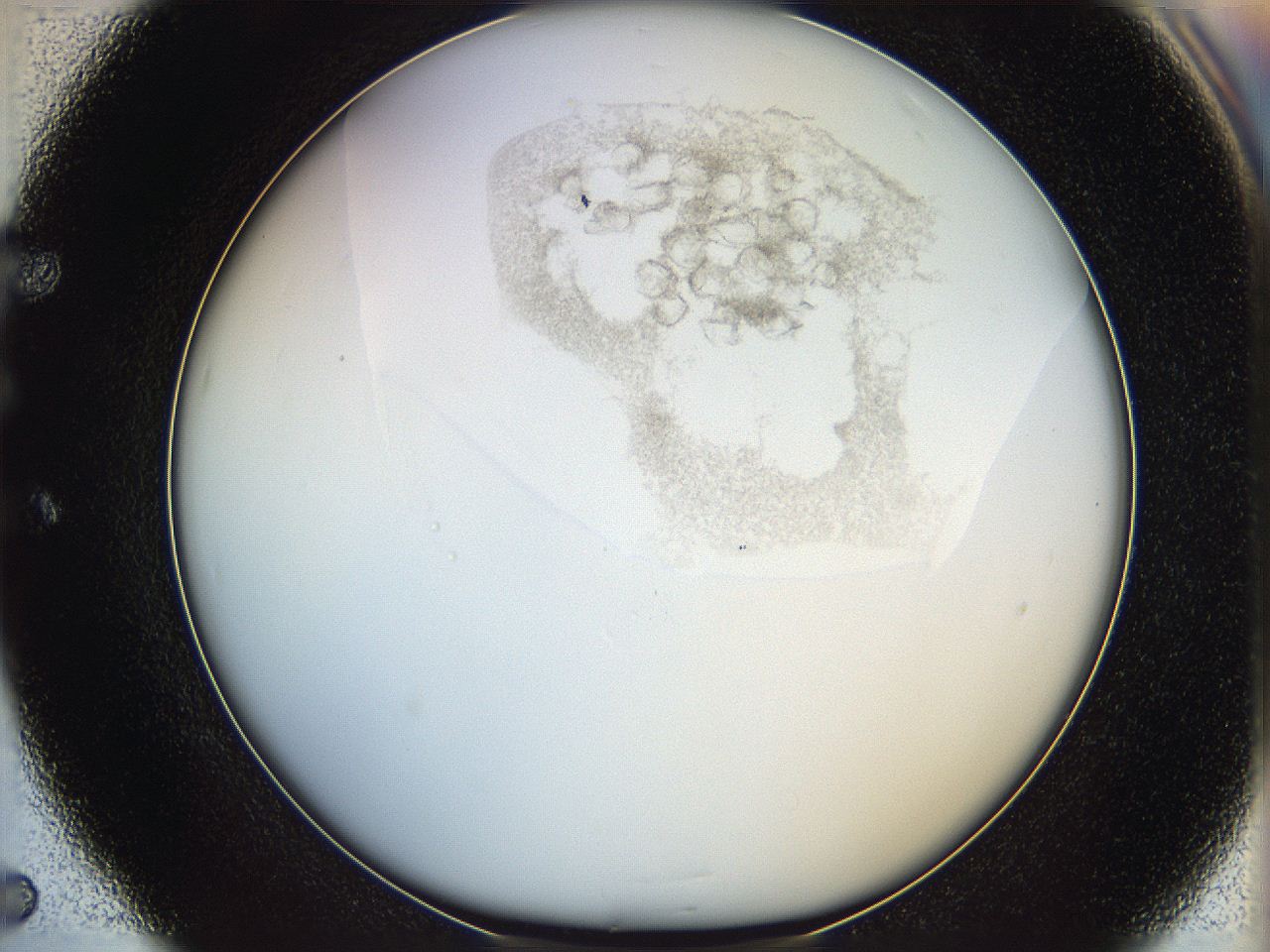 06i4_E5_ImagerDefaults_3.jpg