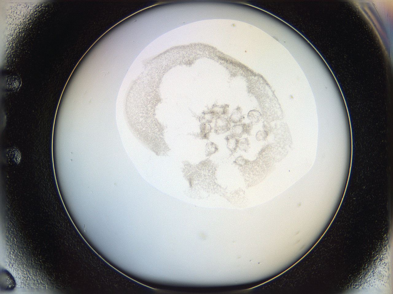 06i4_E6_ImagerDefaults_3.jpg