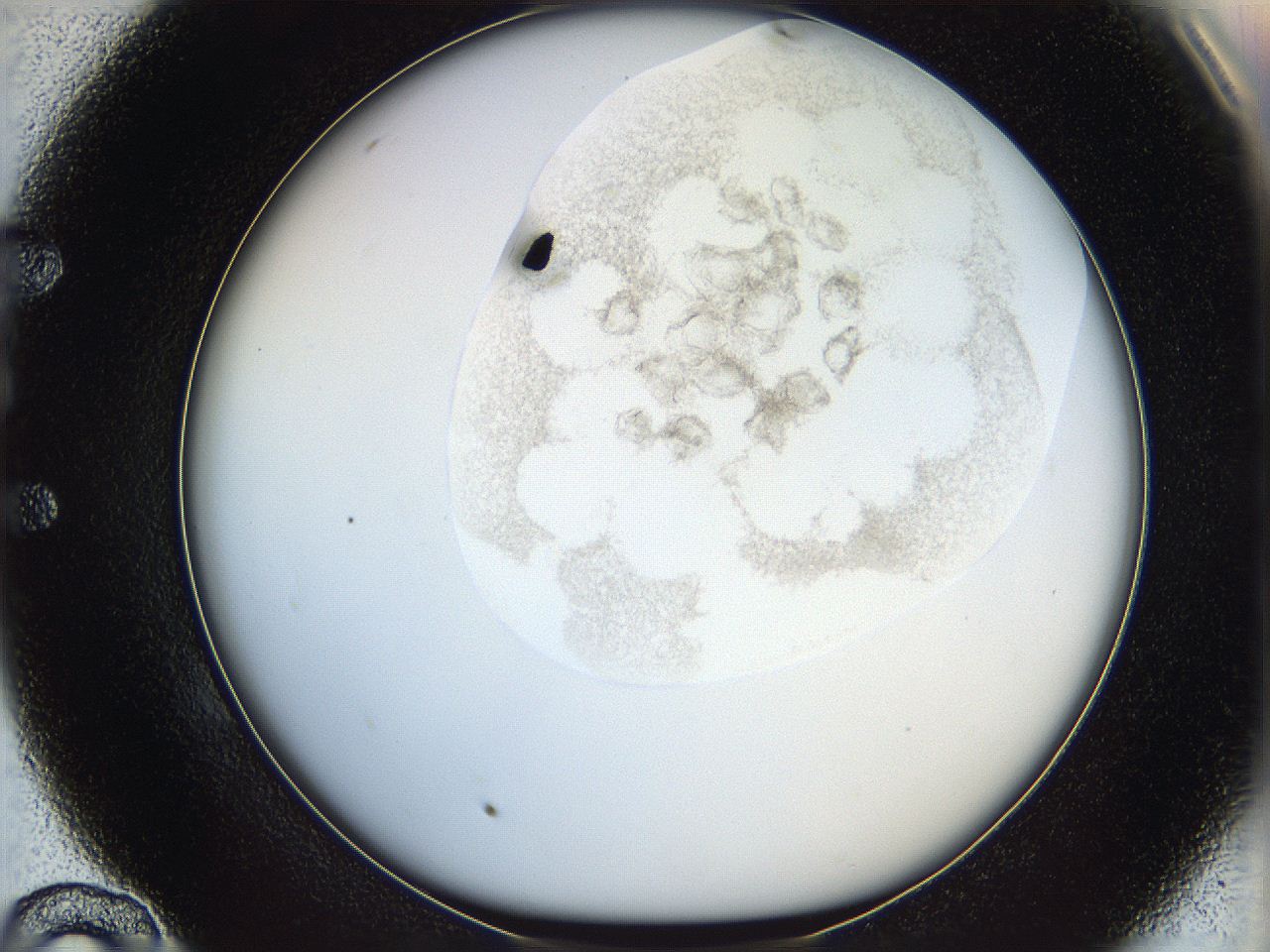 06i4_E10_ImagerDefaults_3.jpg