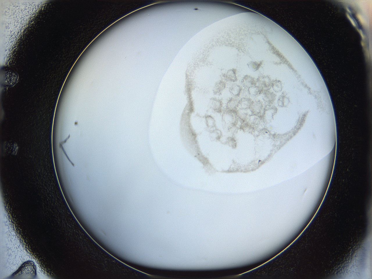 06i4_E11_ImagerDefaults_3.jpg