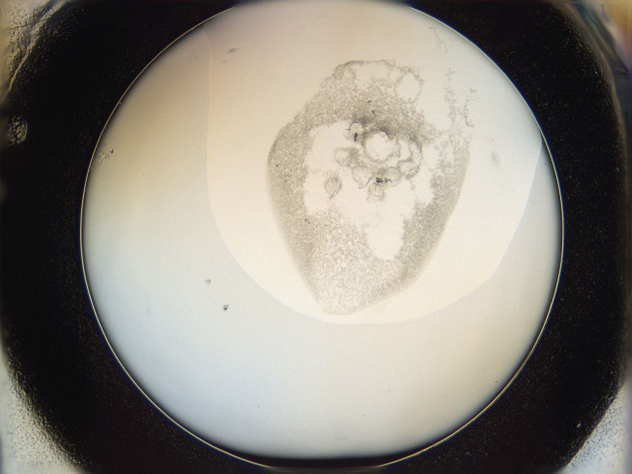 06i4_F1_ImagerDefaults_3.jpg