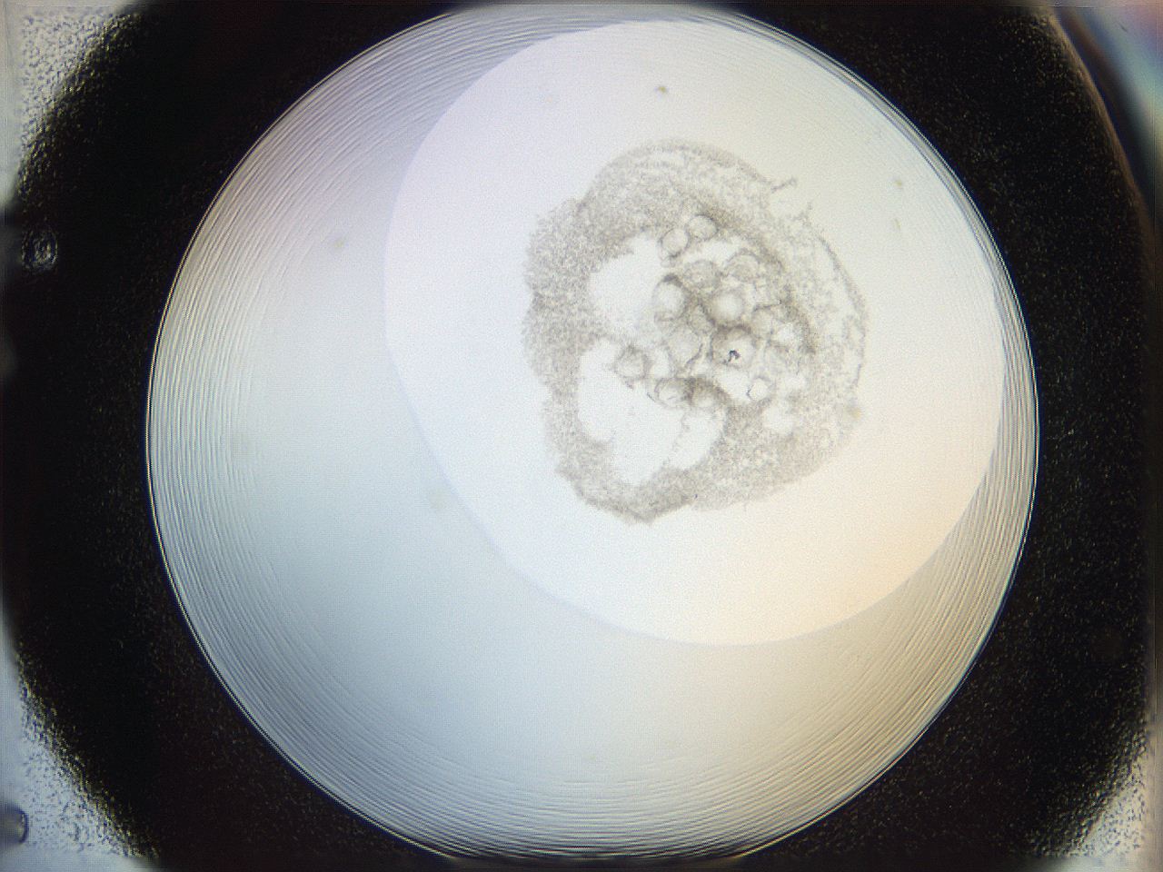 06i4_F5_ImagerDefaults_3.jpg