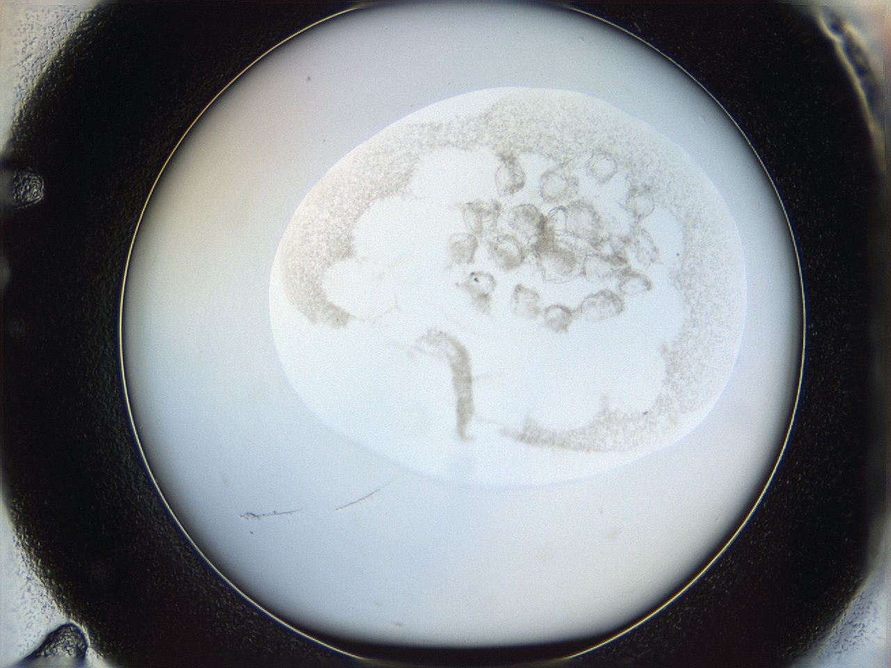 06i4_F11_ImagerDefaults_3.jpg
