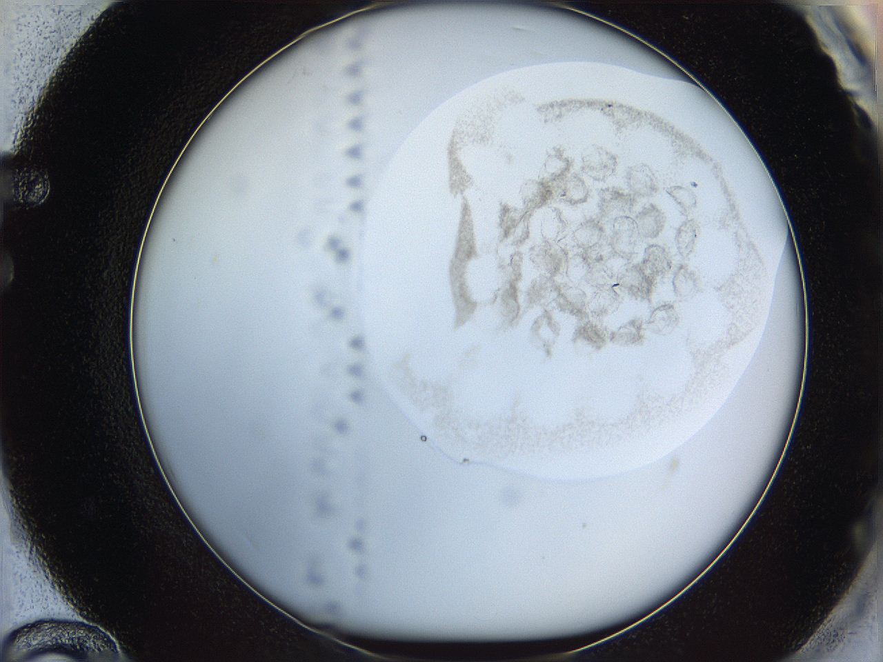 06i4_F12_ImagerDefaults_3.jpg