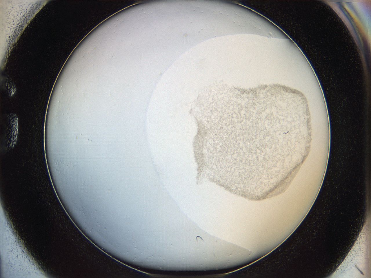 06i4_G1_ImagerDefaults_3.jpg