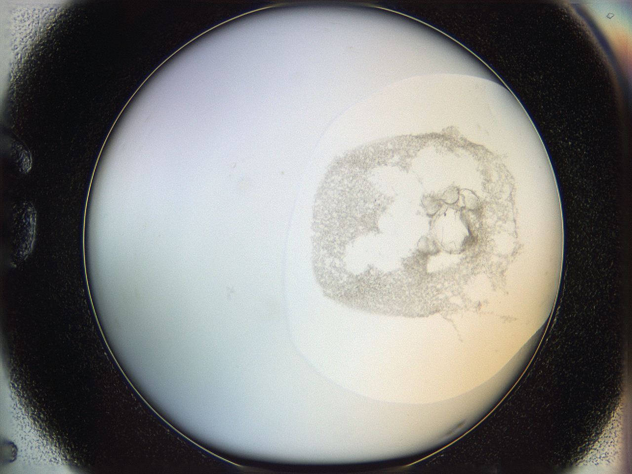 06i4_G5_ImagerDefaults_3.jpg