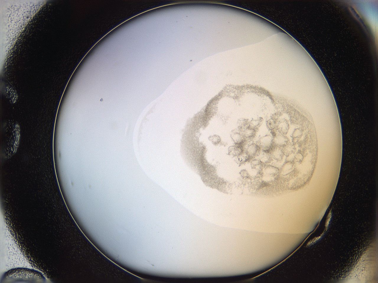 06i4_G10_ImagerDefaults_3.jpg