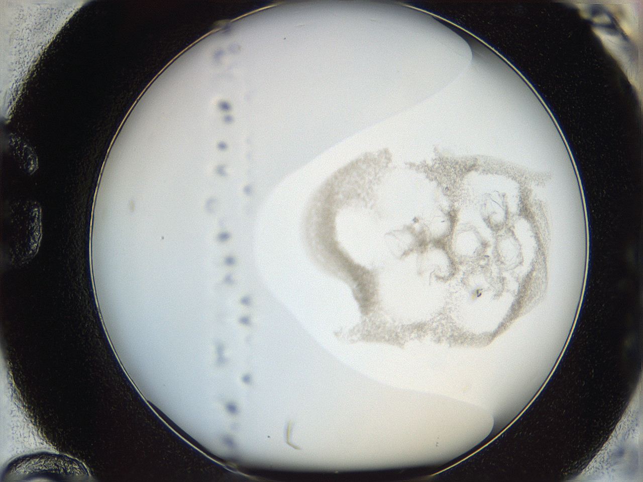 06i4_G12_ImagerDefaults_3.jpg