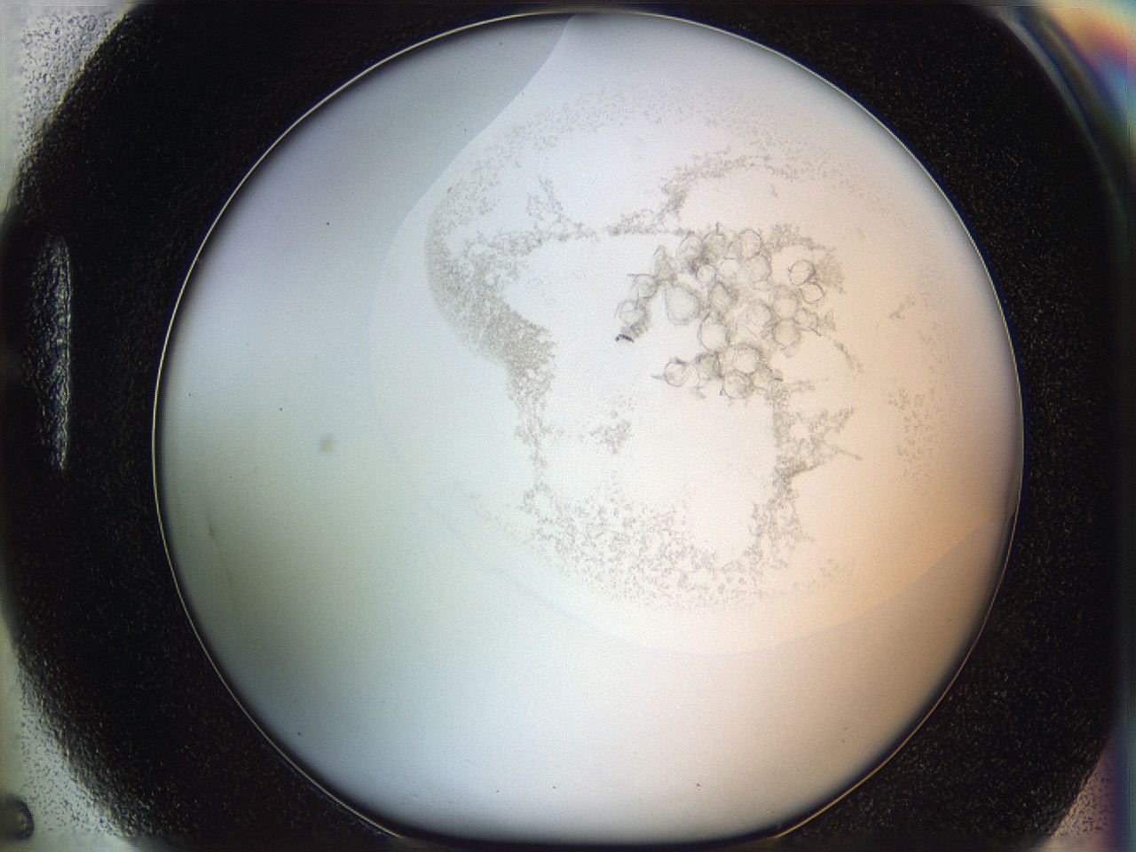 06i4_H5_ImagerDefaults_3.jpg