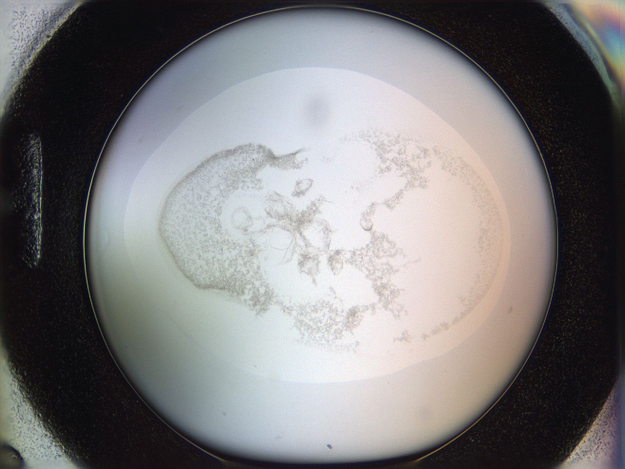 06i4_H6_ImagerDefaults_3.jpg