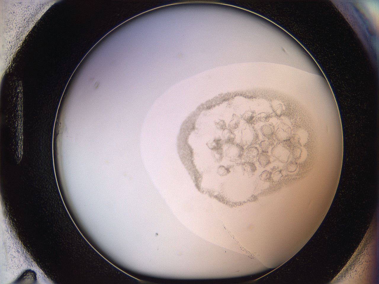 06i4_H11_ImagerDefaults_3.jpg