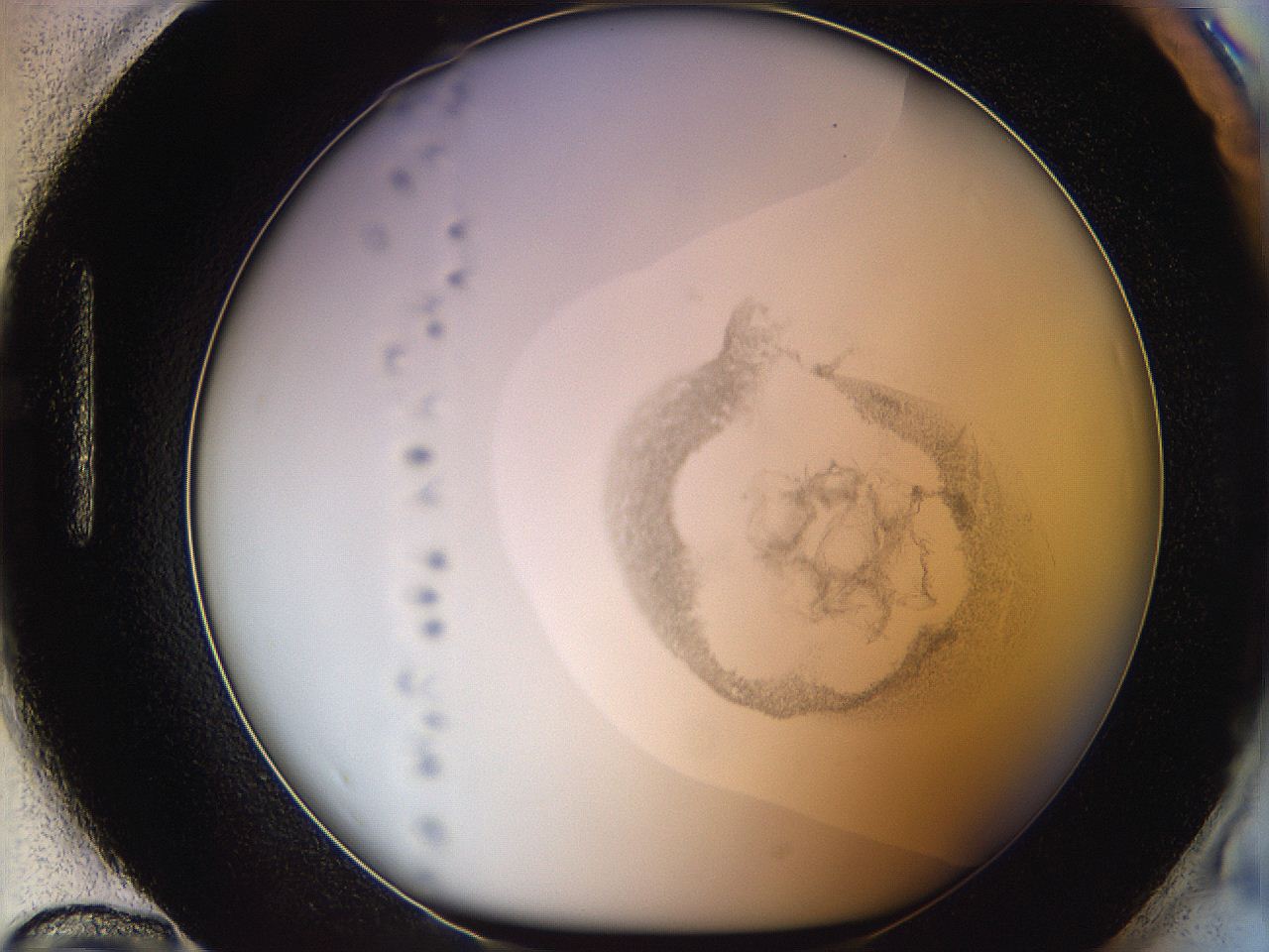06i4_H12_ImagerDefaults_3.jpg