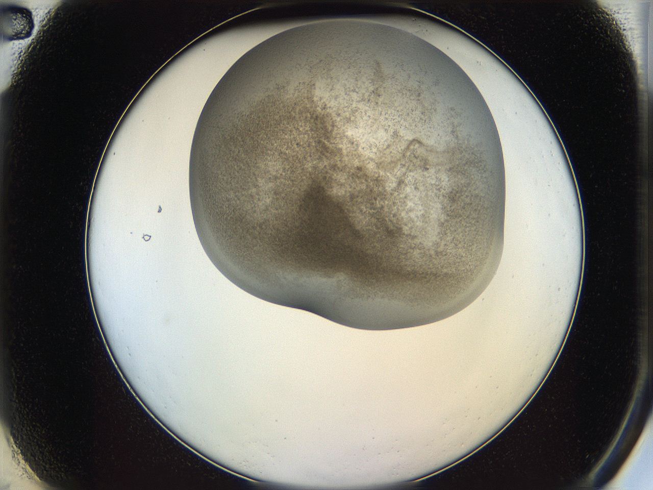06iy_A2_ImagerDefaults_3.jpg