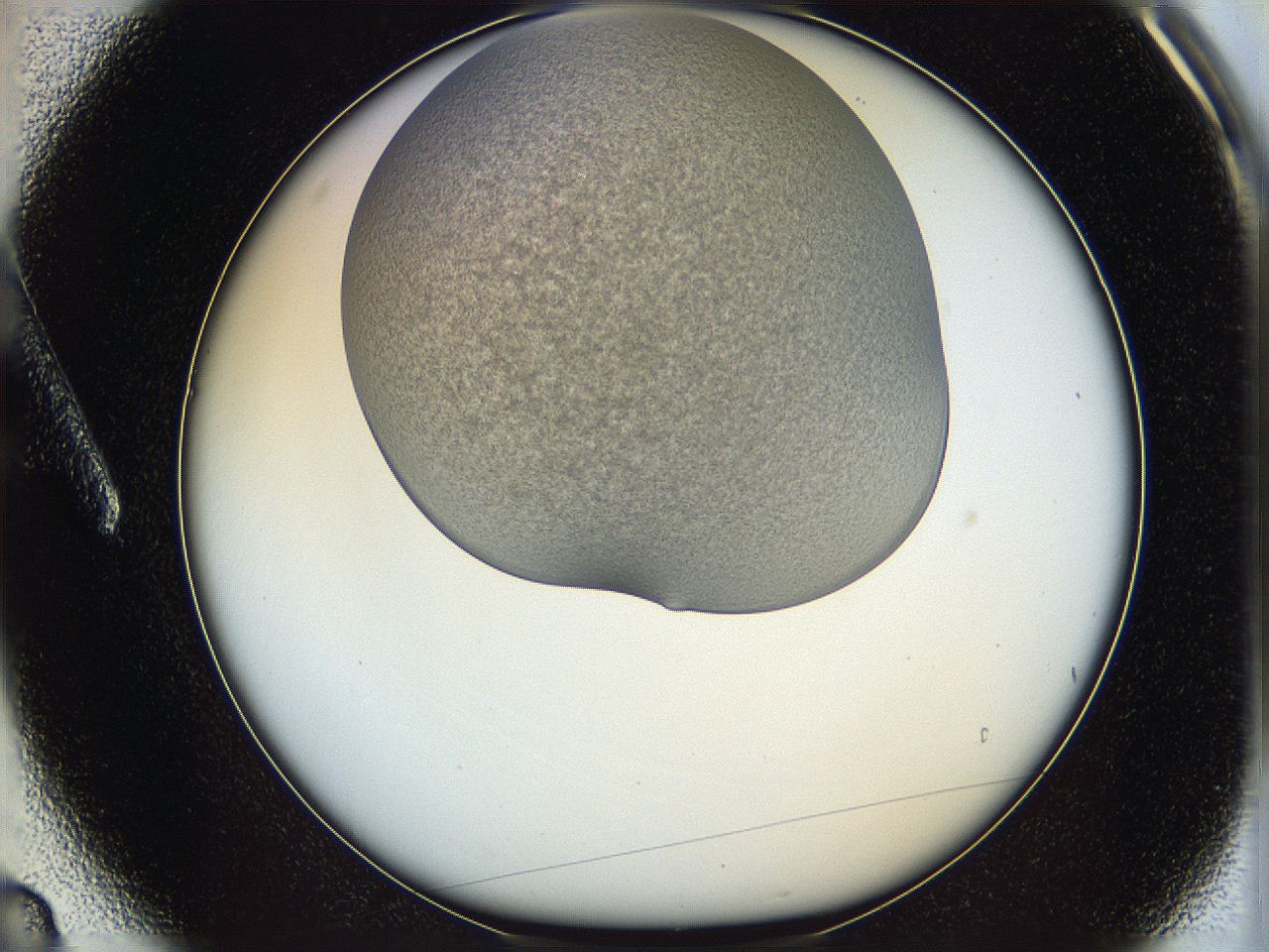 06iy_A3_ImagerDefaults_2.jpg