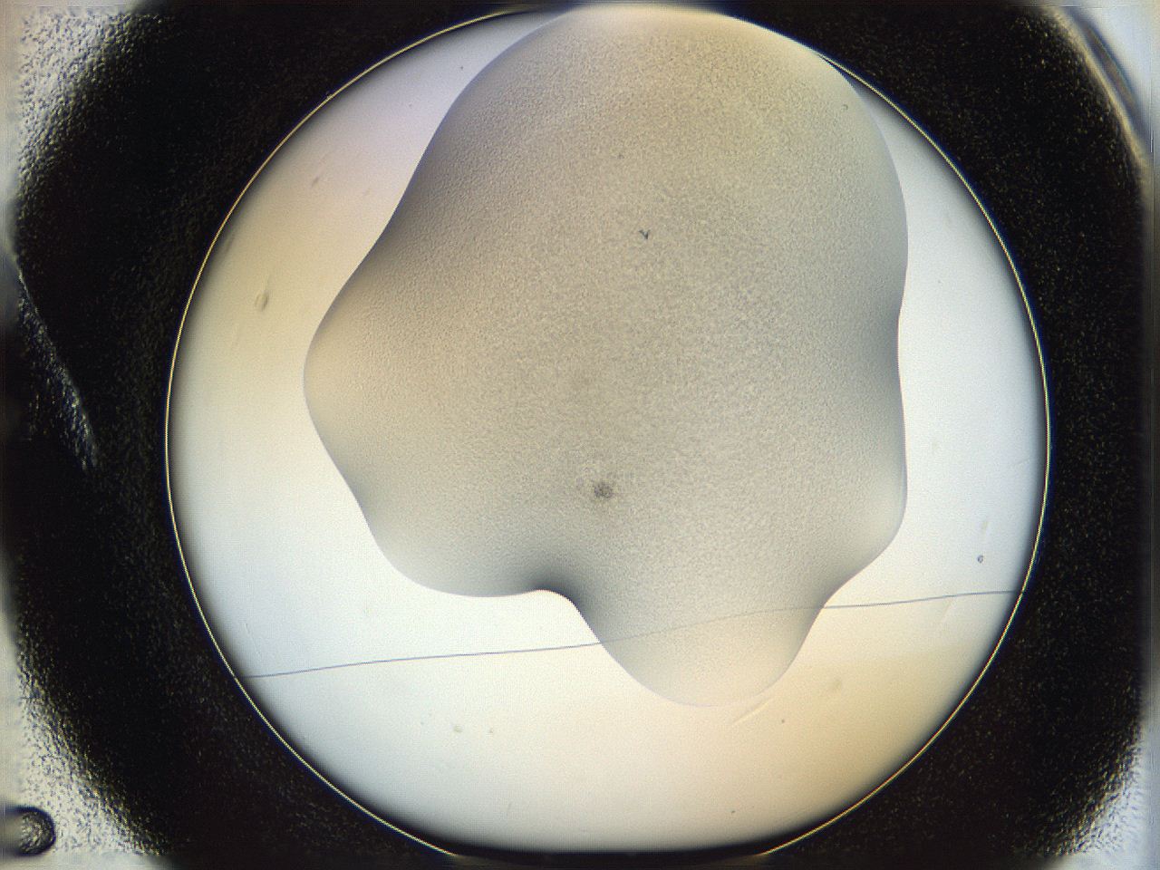 06iy_A5_ImagerDefaults_2.jpg