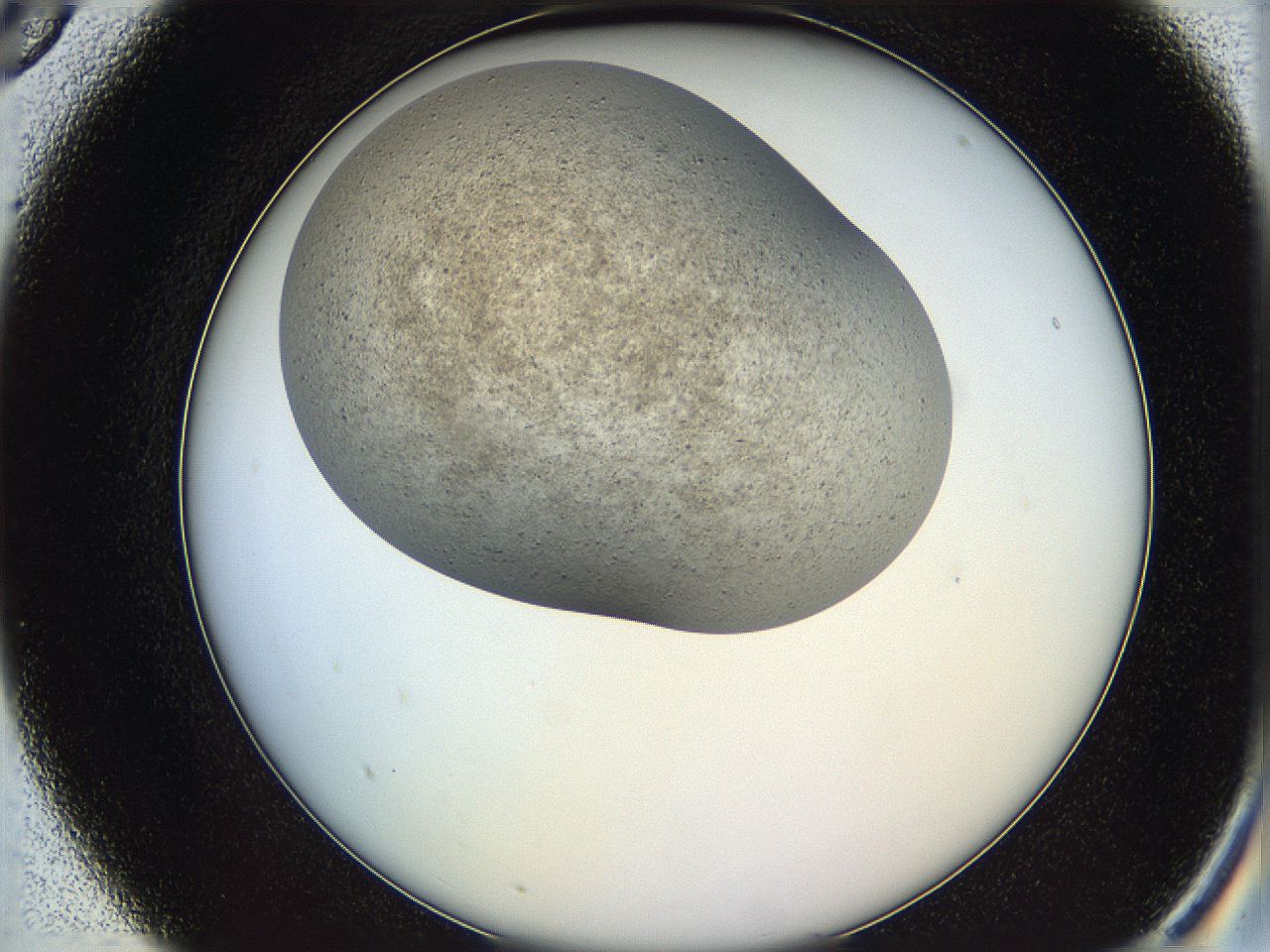 06iy_A5_ImagerDefaults_5.jpg