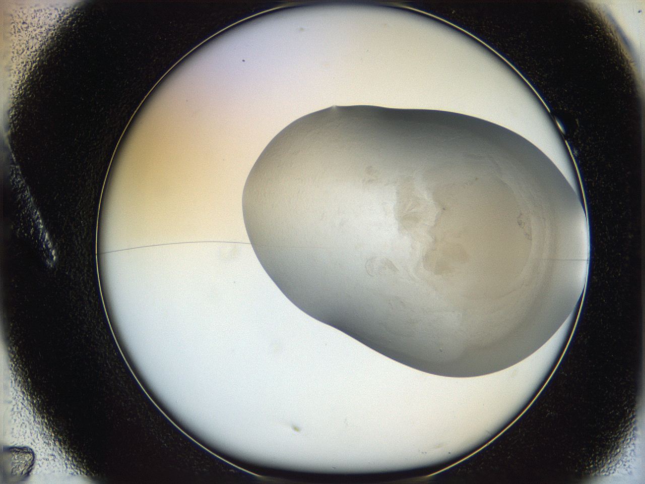 06iy_A7_ImagerDefaults_3.jpg