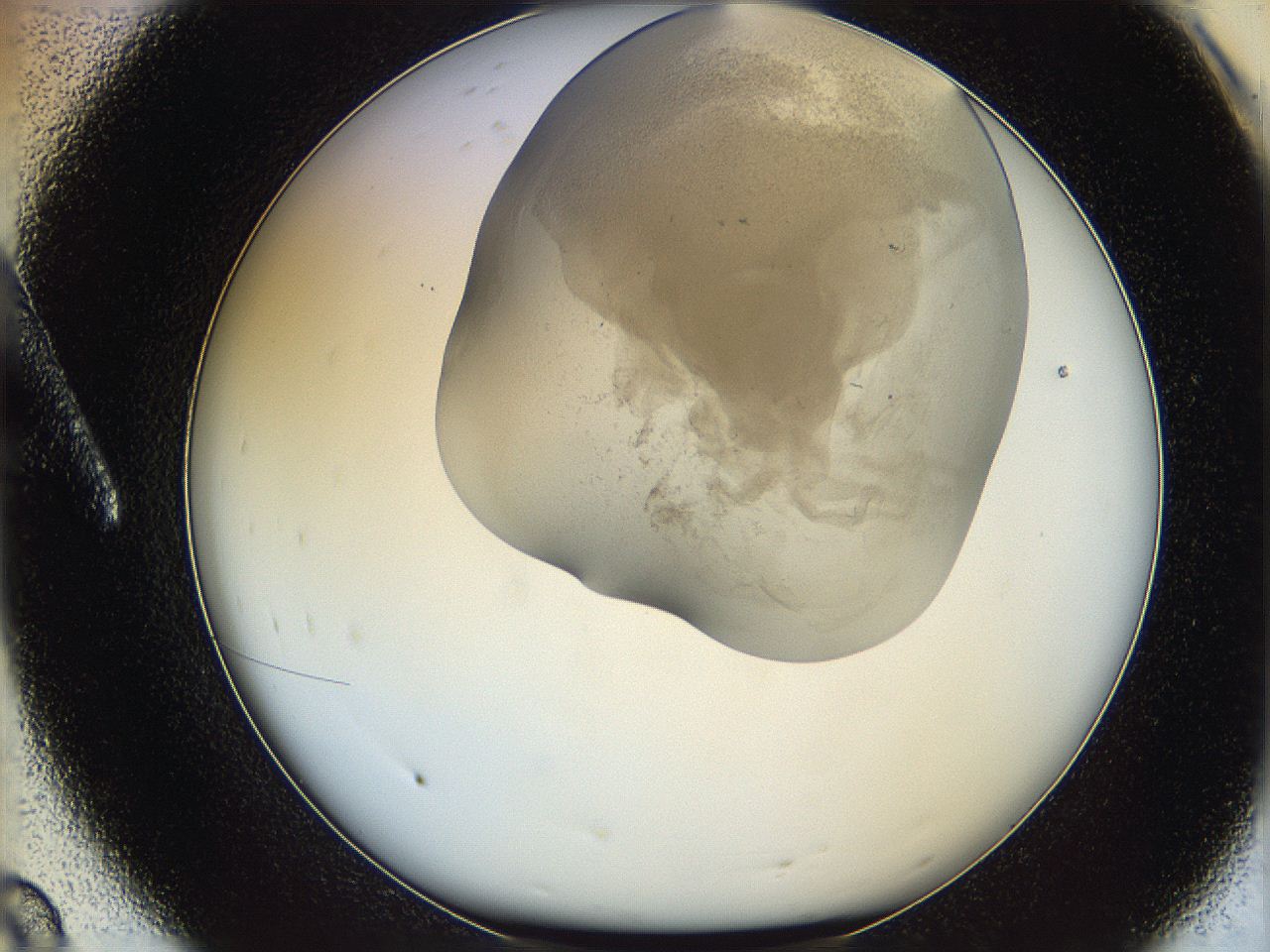 06iy_A8_ImagerDefaults_3.jpg