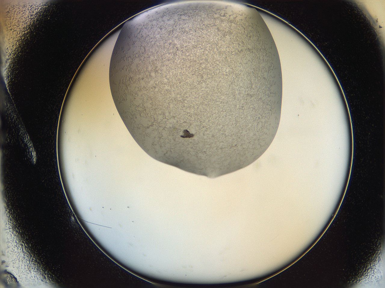06iy_A9_ImagerDefaults_3.jpg