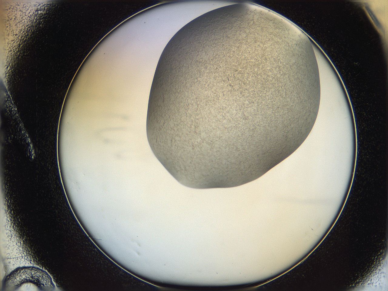 06iy_A10_ImagerDefaults_2.jpg