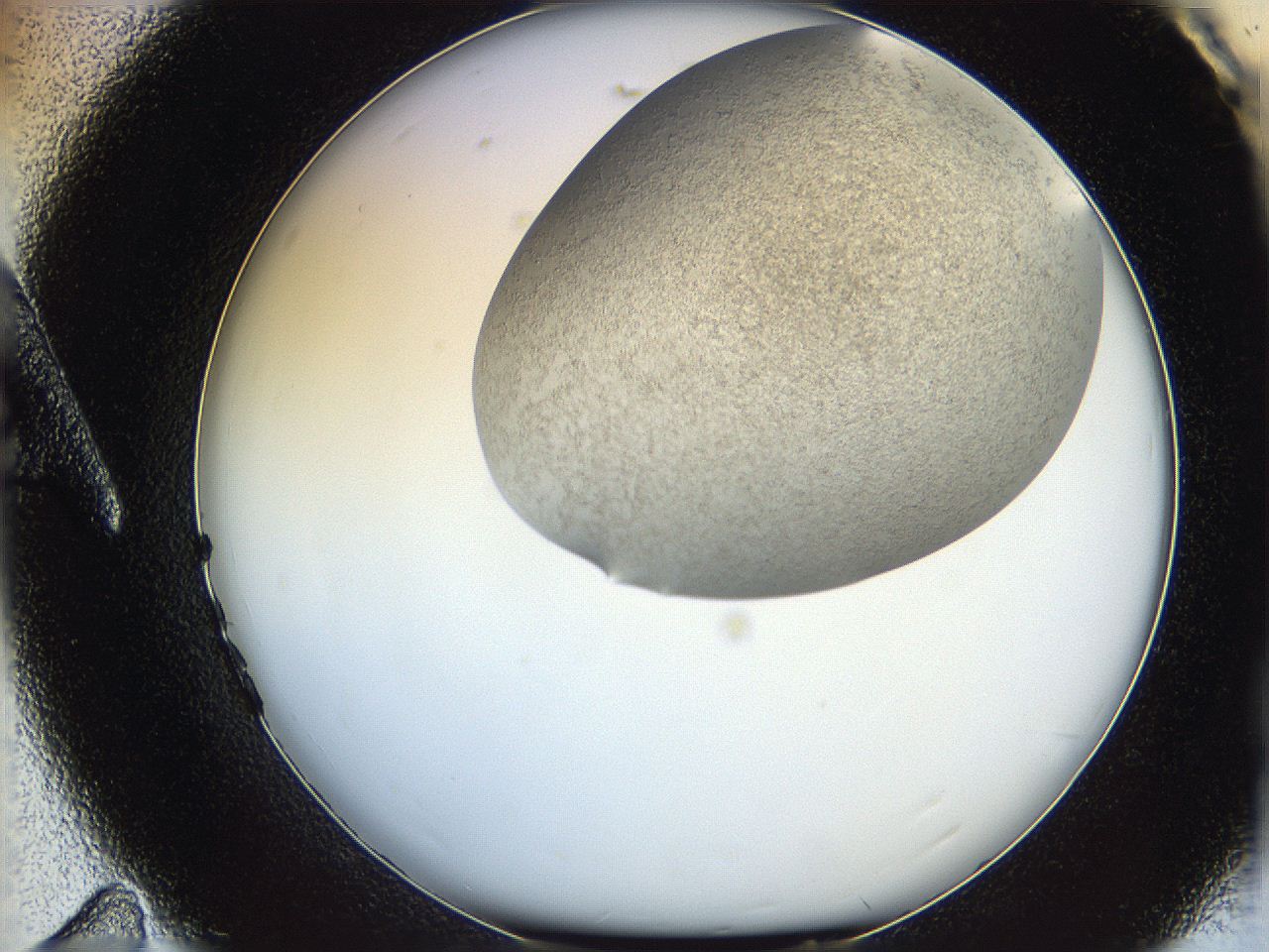 06iy_A11_ImagerDefaults_2.jpg