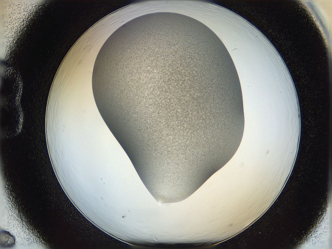 06iy_B6_ImagerDefaults_2.jpg
