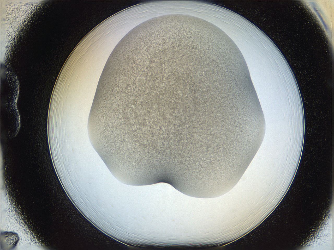 06iy_B7_ImagerDefaults_2.jpg