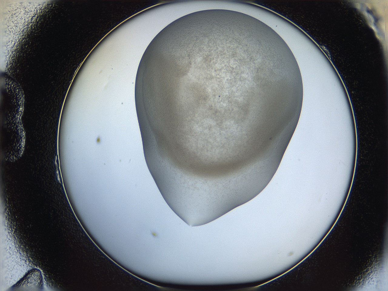 06iy_B11_ImagerDefaults_3.jpg