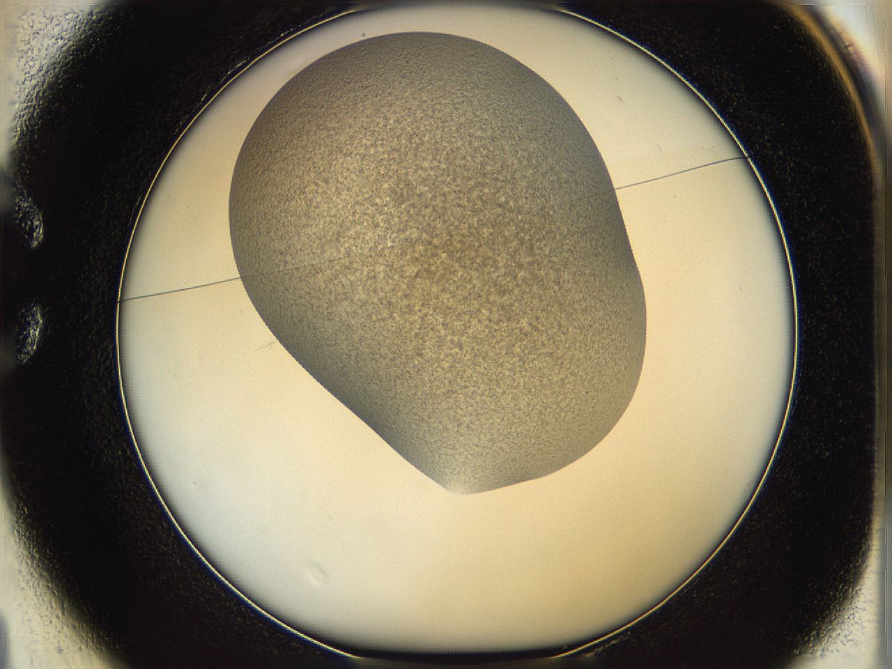06iy_C1_ImagerDefaults_2.jpg