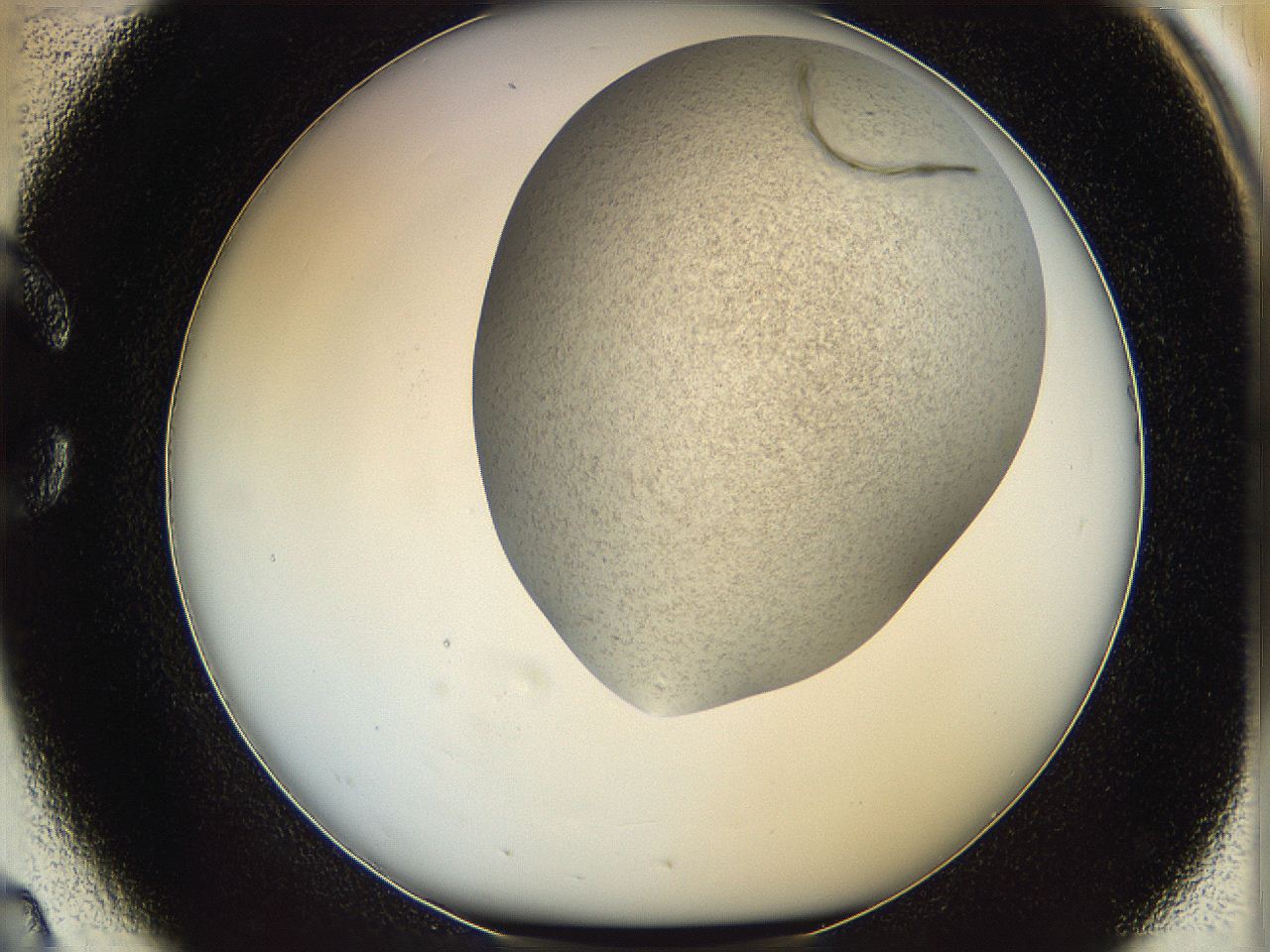 06iy_C2_ImagerDefaults_2.jpg