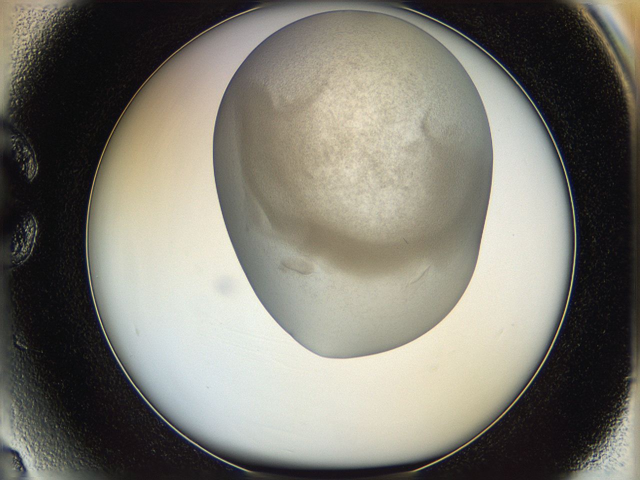 06iy_C3_ImagerDefaults_3.jpg