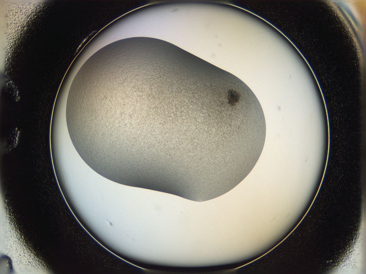 06iy_C4_ImagerDefaults_2.jpg