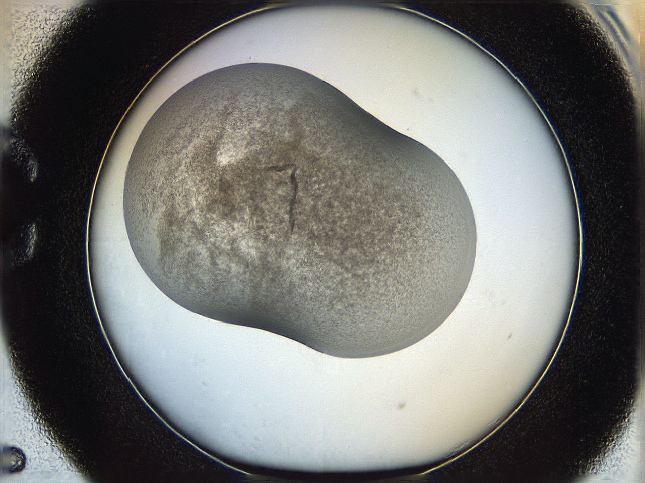 06iy_C5_ImagerDefaults_3.jpg