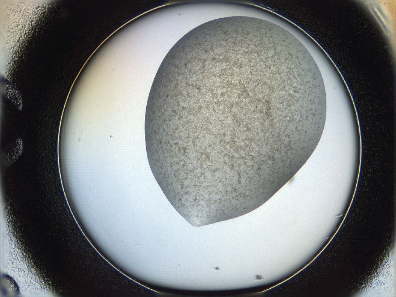 06iy_C8_ImagerDefaults_6.jpg