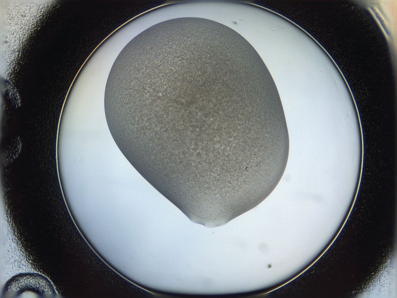 06iy_C10_ImagerDefaults_3.jpg