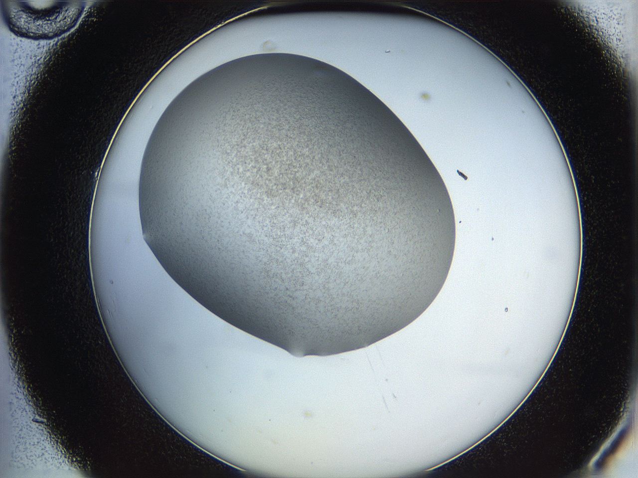 06iy_C10_ImagerDefaults_2.jpg